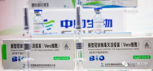 印尼疫情與簽證嚴(yán)查并舉 單日新增5千例，病毒變種引發(fā)關(guān)注，移民局突擊檢查工廠簽證問(wèn)題